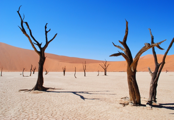 Psychische klachten in beeld – en wat helpt?